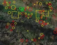 Farm12-chancey55-blkcir.webp