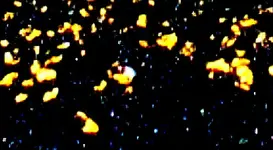 goldnpancrop4.webp