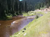 amra (2).webp