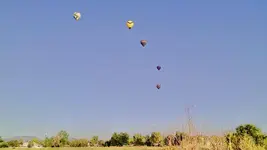 balloons from the field.webp