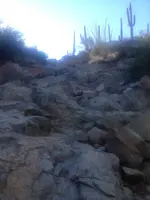 image-3690185228.webp