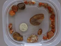 Agates-June2015Trip-Armes-Img_6270SSS.webp