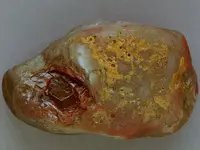 Agate-June2015-NwBig-Img_6282SSS.webp