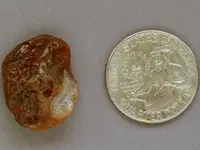 Agate-June2015-NwRedwhite-Img_6294SSS.webp