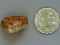 Agate-June2015-NwWaterLevelThumbprint-Img_6292SSS.webp