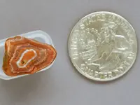 Agate-June2015-SLOrangeWhiteFloat-Img_6303SSS.webp