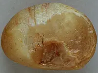 Agate-June2015-SLQuartzNode-Img_6298SSS.webp