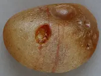 Agate-June2015-SLQuartzNode-Img_6299SSS.webp