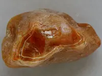 Agate-June2015-SLRedWhiteFort-Img_6300cSSS.webp