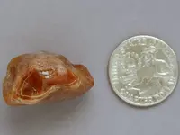 Agate-June2015-SLRedWhiteFort-Img_6300SSS.webp