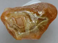 Agate-June2015-SLRedWhiteFort-Img_6301SSS.webp