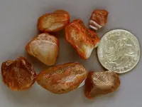Agates-June2015-SLSmalls-Img_6310SSS.webp