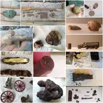 Yard Collection.webp Yard Collection.webp