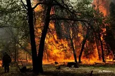 1434744816_22_FT0_lake_fire7_small_.webp