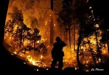 1434766613_22_FT208186_lake_fire_24_small_.webp