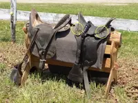 saddles.webp