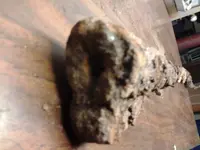 20150627_133544.webp