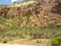 IMAG0005.webp