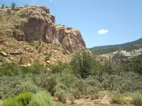 IMAG0007.webp
