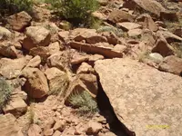 IMAG0020.webp