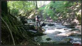 20150530_084544-Resizer-1100L256D910F00F102222.webp