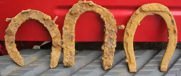 3_horseshoes.webp 3_horseshoes.webp
