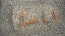CIMG4970.webp CIMG4970.webp