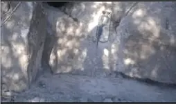 whats on the wall.webp