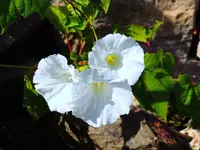 012.webp