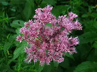 022.webp
