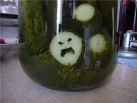 Angry_Oickle.webp Angry_Oickle.webp