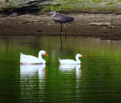 064.webp