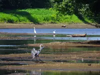 043.webp