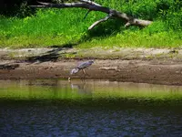 058.webp