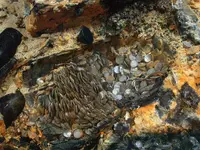 R_04_ROV_S_0523.webp