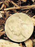 ImageUploadedByTreasureNet.com1435448955.437505.webp