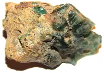 DSCN0637.webp