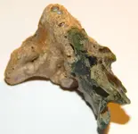 DSCN0638.webp