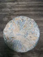ImageUploadedByTreasureNet.com1436802515.143129.webp