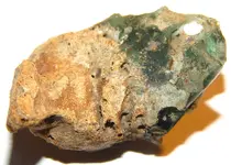 DSCN0639.webp
