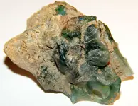 DSCN0640.webp