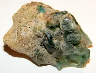 DSCN0641.webp