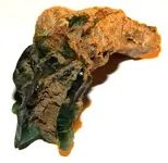 DSCN0642.webp
