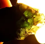 DSCN0643.webp
