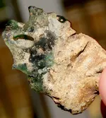DSCN0644.webp