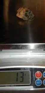 DSCN0645.webp