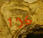 1436807550012.webp