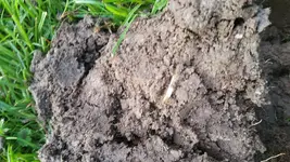 20150819_172226.webp