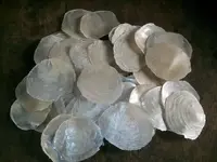 Capiz Shells.webp