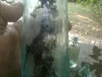 150803_019.webp